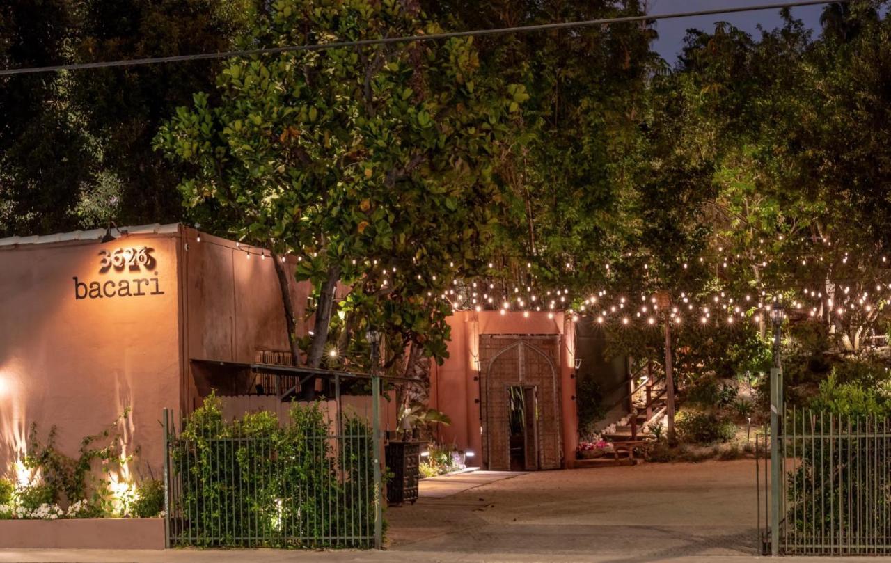 The Big Bungalow Rooms Los Angeles Extérieur photo